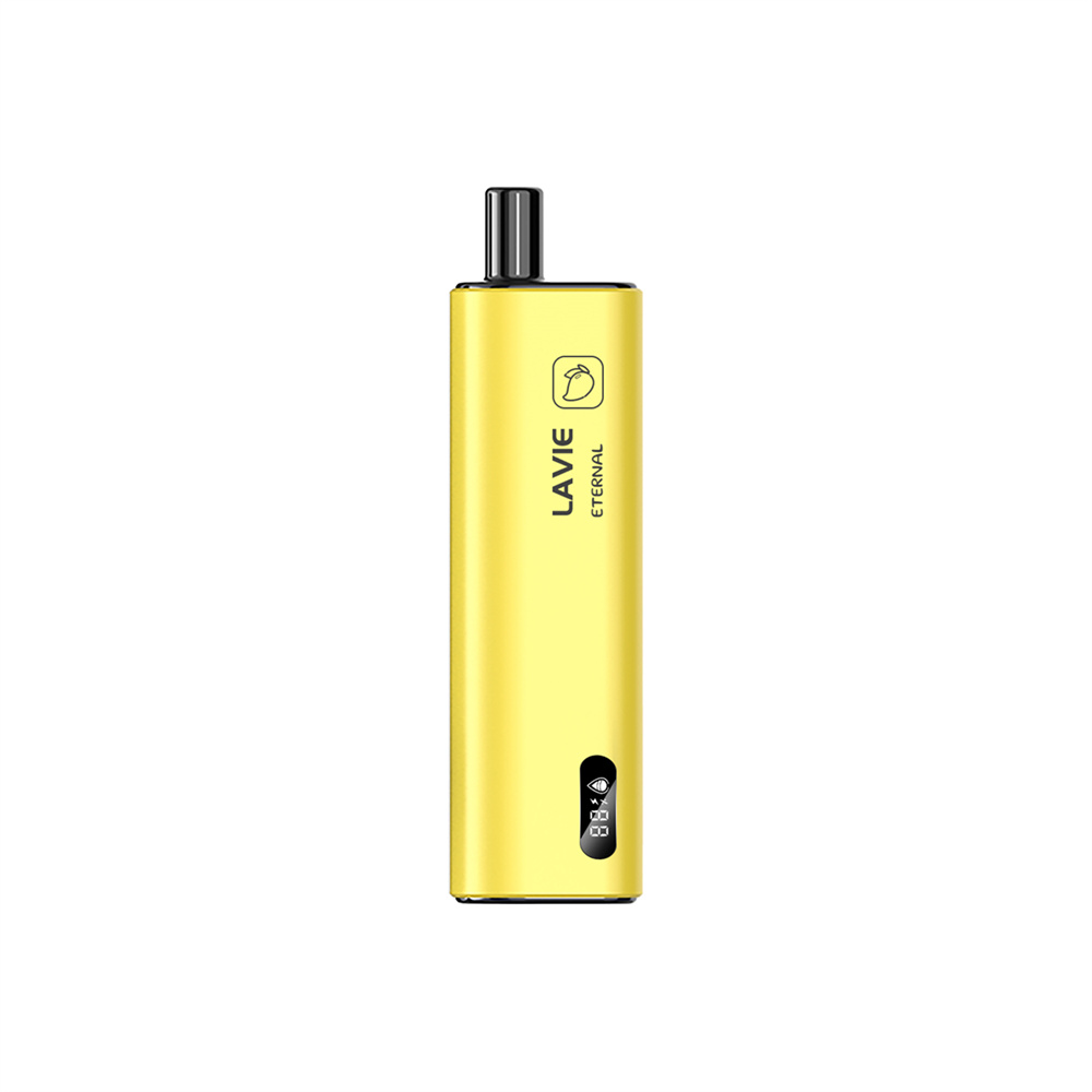 LAVIE ETERNAL 10000 Puffs Disposable Vape Mango Ice