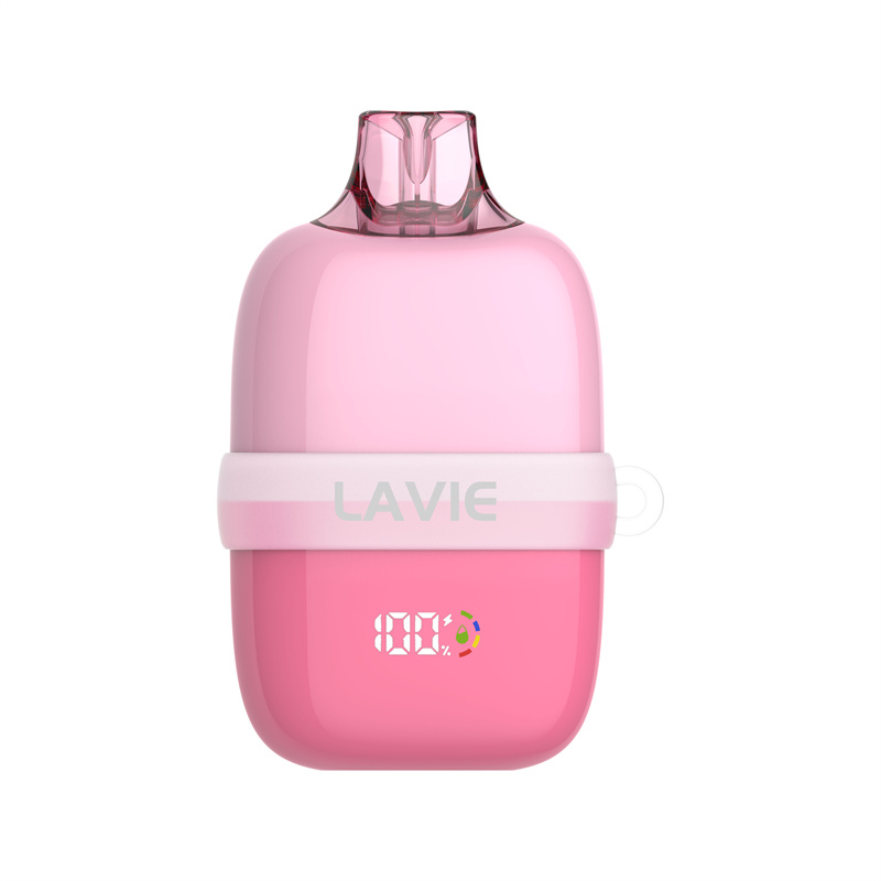 LAVIE INSIDER 12000 Puffs Disposable Vape Strawberry Watermelon