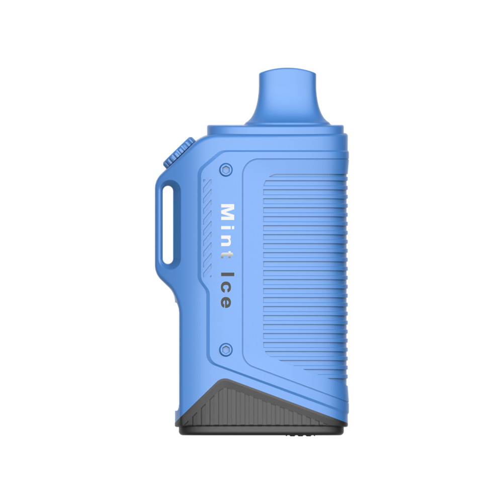 LAVIE Energy Box 15000 Puffs Disposable Vape Mint Ice