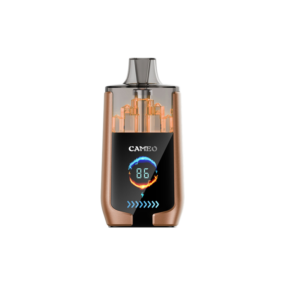 LAVIE CAMEO 30000 Puffs Disposable Vape Coffee Ice