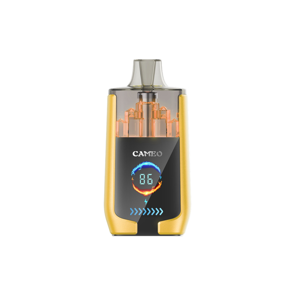 LAVIE CAMEO 30000 Puffs Disposable Vape Mango Ice