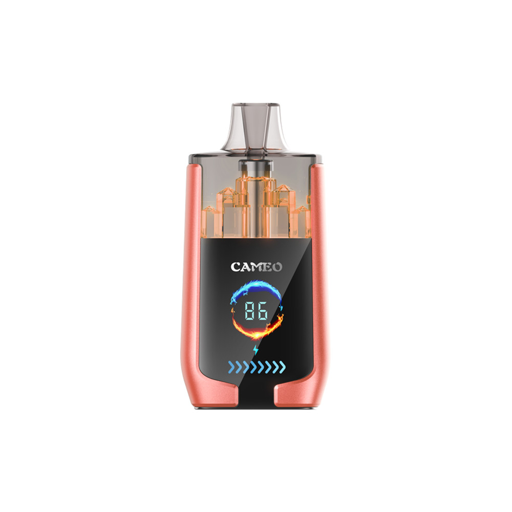 LAVIE CAMEO 30000 Puffs Disposable Vape Strawberry Watermelon